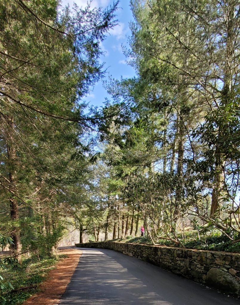 Carl Sandburg Home National Historic Site drive with stone wall