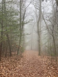 Carl Sandburg Home National Historic Site foggy trail